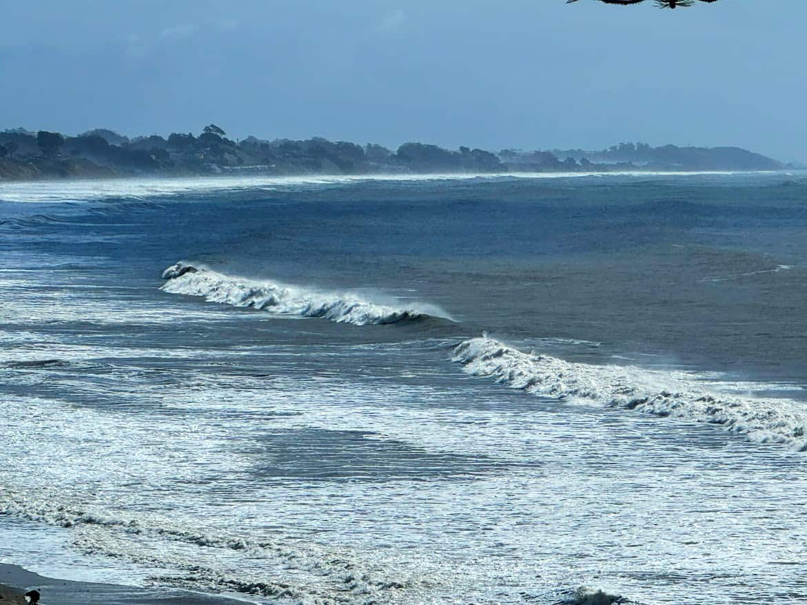 A dramatic ocean scene with rolling waves breaking in the distance. The misty coastline is visible beyond the turbulent water, and a bird's wing is partially visible in the top right corner.