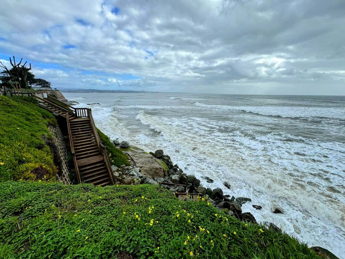 A rocky shoreline with waves crashing under a cloudy sky. A wooden staircase leads down the cliffside to the beach, surrounded by lush greenery and yellow wildflowers.