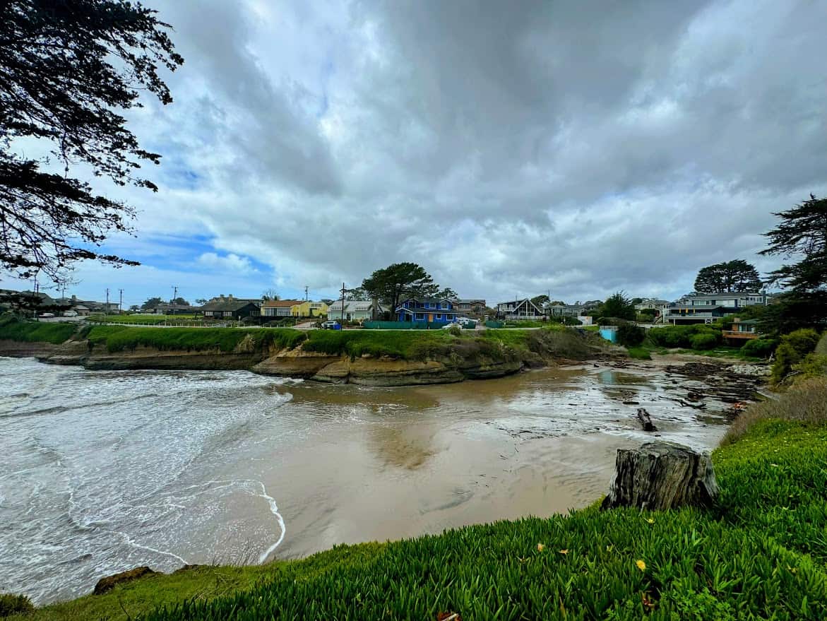 A serene beach cove in Santa Cruz, California, with gentle waves washing onto the shore. The lush green cliffs contrast with the sandy beach, while houses line the hill in the background.