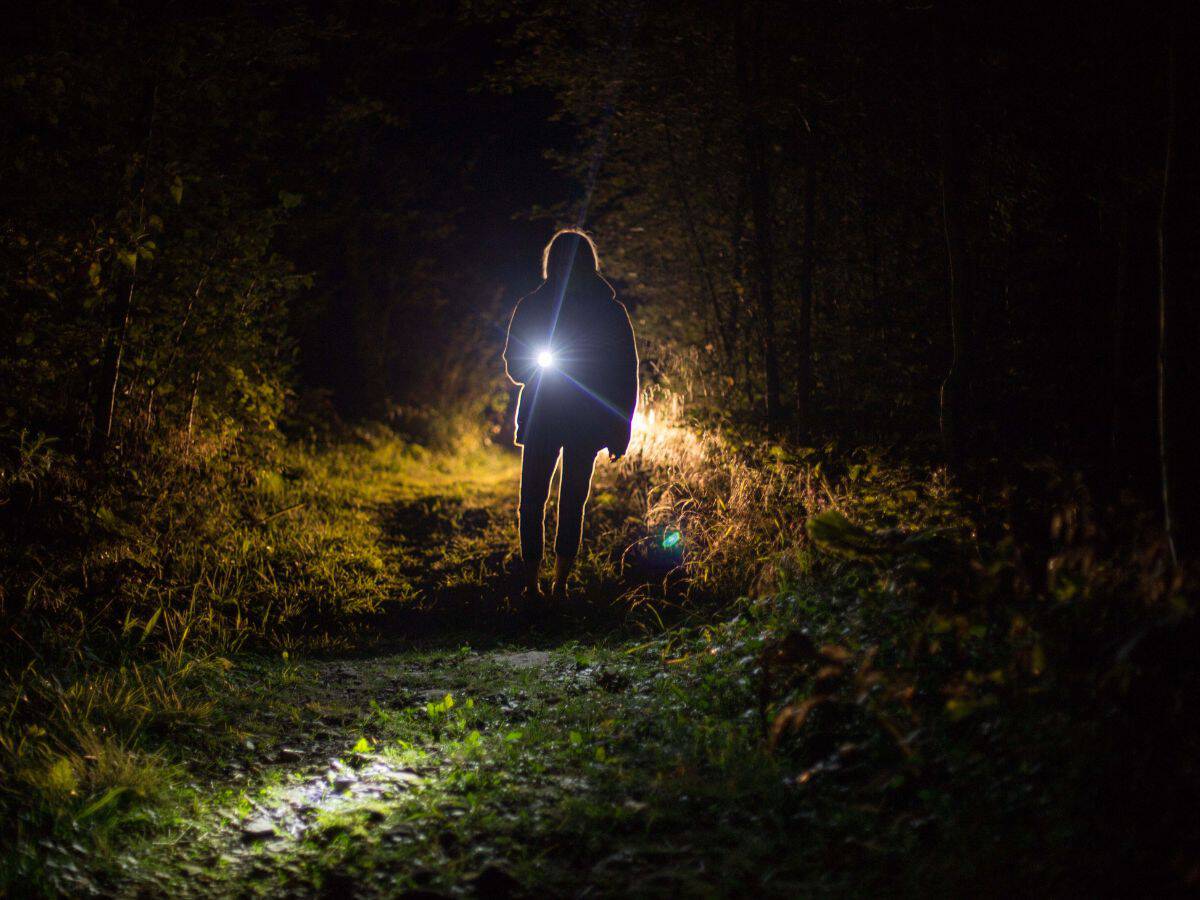 A person walking through a forest at night with a flashlight in hand. A reliable flashlight is essential for your California packing list, especially for camping or nighttime hikes.