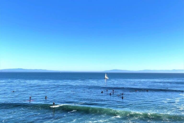 9 Best Wetsuits For Northern California (2024)