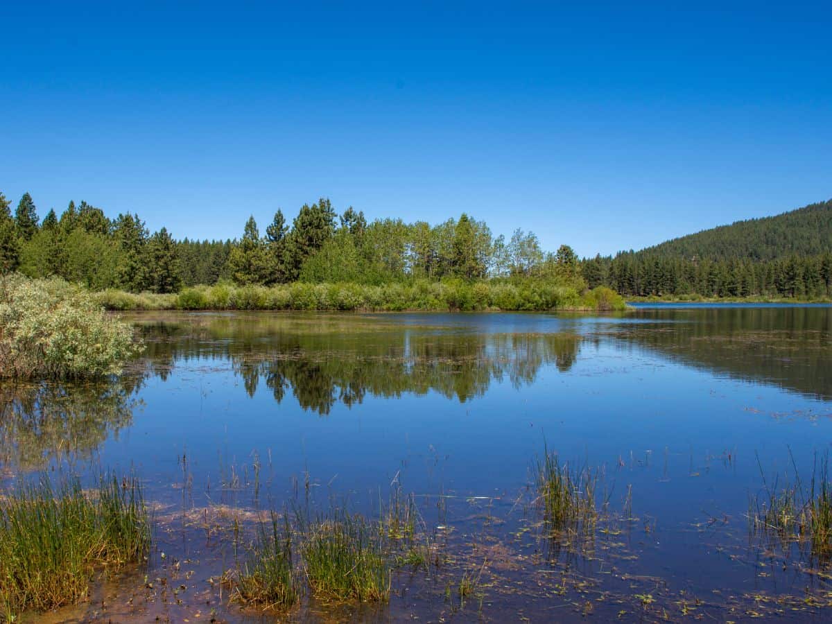 The tranquil waters of Spooner Lake reflect the surrounding trees and greenery, creating a serene environment. This loop trail is perfect for an easy, relaxing hike, making it one of the 11 Easy Lake Tahoe Hikes To Do.