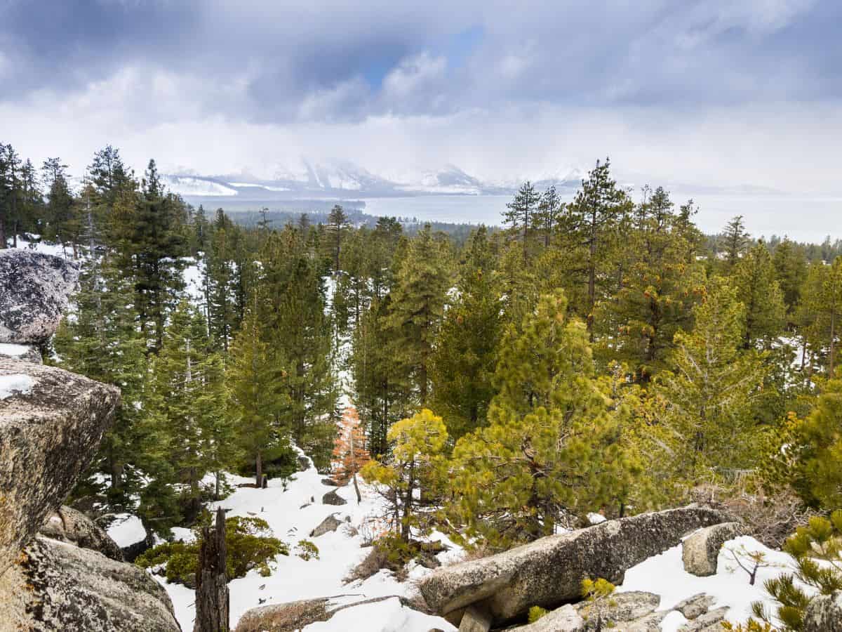 A snow-covered forest view from Van Sickle Trail to Waterfall Vista in Lake Tahoe, with a stunning backdrop of snow-capped mountains and pine trees. This trail provides easy access to beautiful winter landscapes, making it one of the 11 Easy Lake Tahoe Hikes To Do.