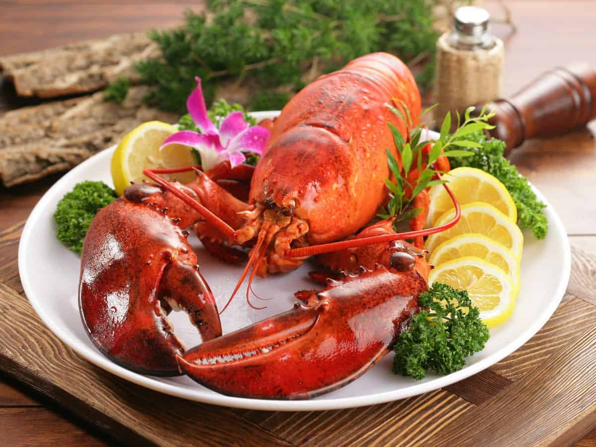 A plate of succulent steamed lobster served with lemon slices and fresh herbs, capturing the essence of Best Seafood In Southern California. This mouthwatering dish is a highlight of the coastal seafood offerings.