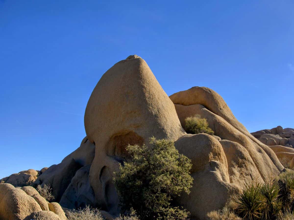 A captivating image of Skull Rock in Joshua Tree National Park, a unique rock formation shaped like a human skull. Visiting Skull Rock is one of the interesting things to do in California in October for those exploring the park’s natural wonders.