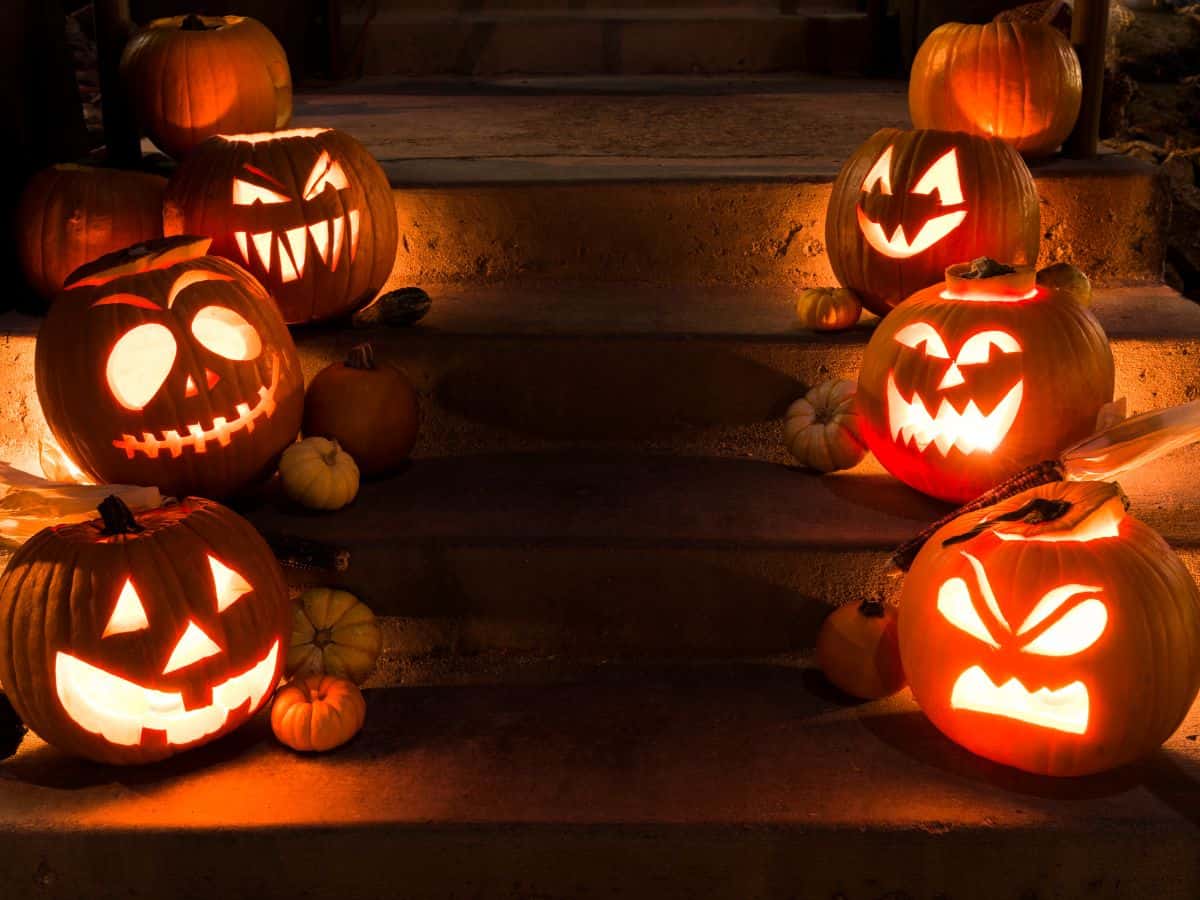 Carved jack-o-lanterns glowing with various eerie and funny faces, illuminating a staircase in the dark. Attending Carved at Descanso Gardens is one of the spookiest things to do in California in October, where intricate pumpkin carvings create a magical Halloween display.