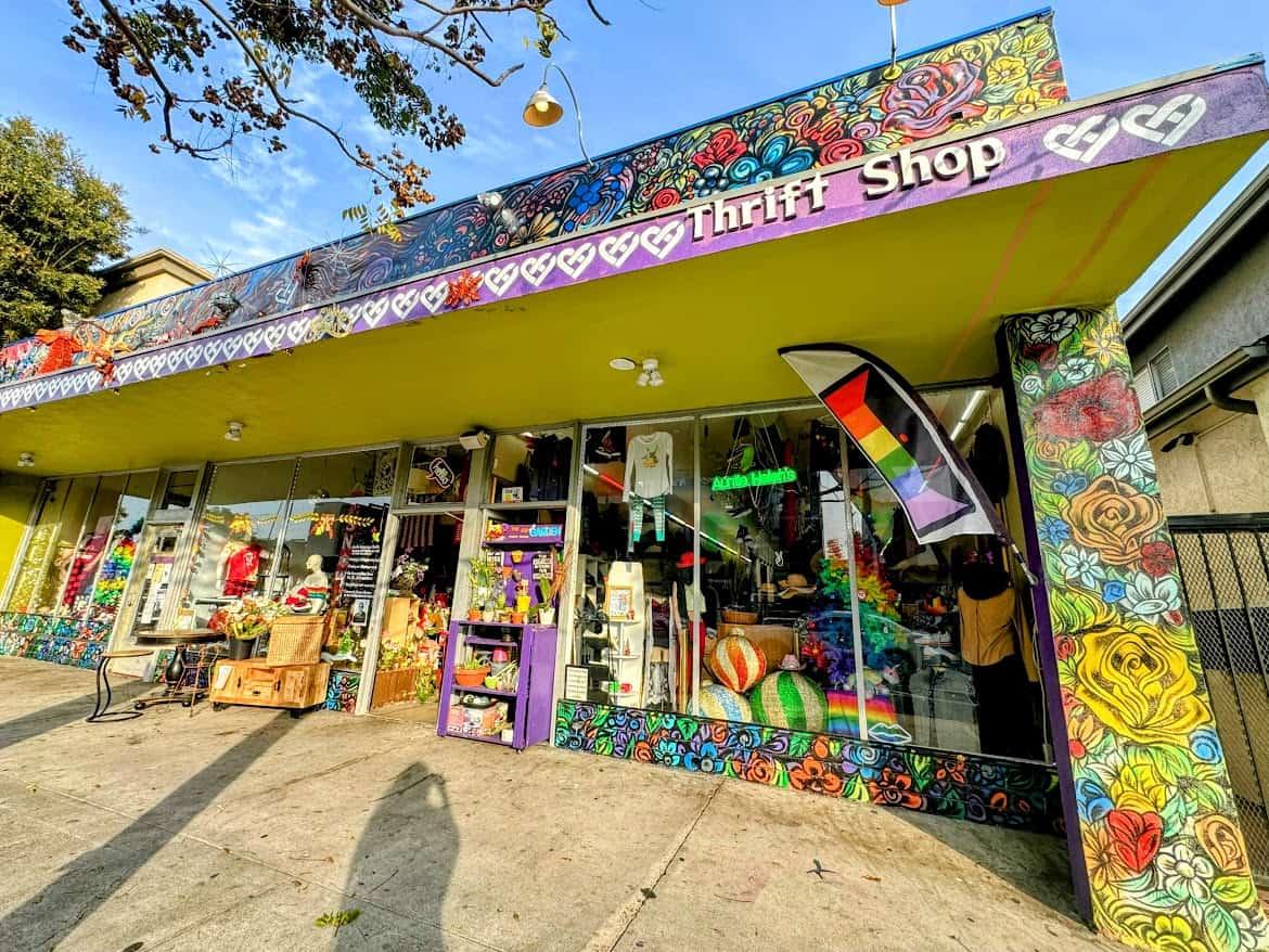 The exterior of a colorful thrift shop in North Park, decorated with a vibrant floral mural and a purple and green storefront. The shop displays eclectic items and rainbow-themed decor in its windows.