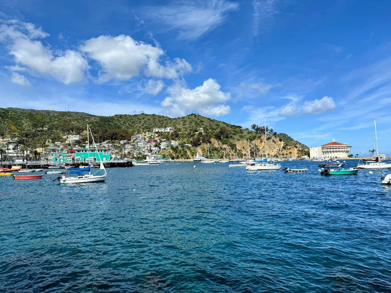 A scenic view of Catalina Island’s coastline, featuring colorful houses perched on a hill, the iconic round Catalina Casino building, and a harbor filled with boats under a bright blue sky.
