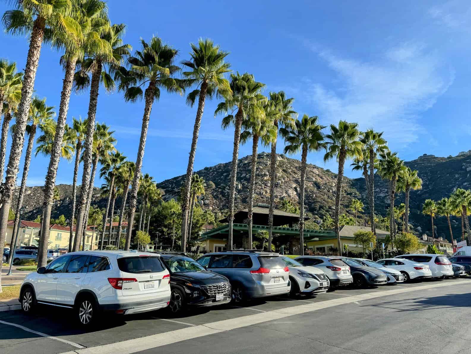 A line of parked cars under tall, swaying palm trees with a backdrop of rugged hills and clear blue skies. The setting appears to be a sunny, scenic area in California, showcasing a peaceful, suburban environment.
