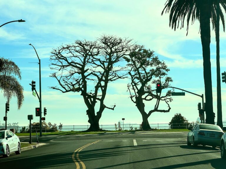 Renting A Car In Long Beach: Travel Tips and Info