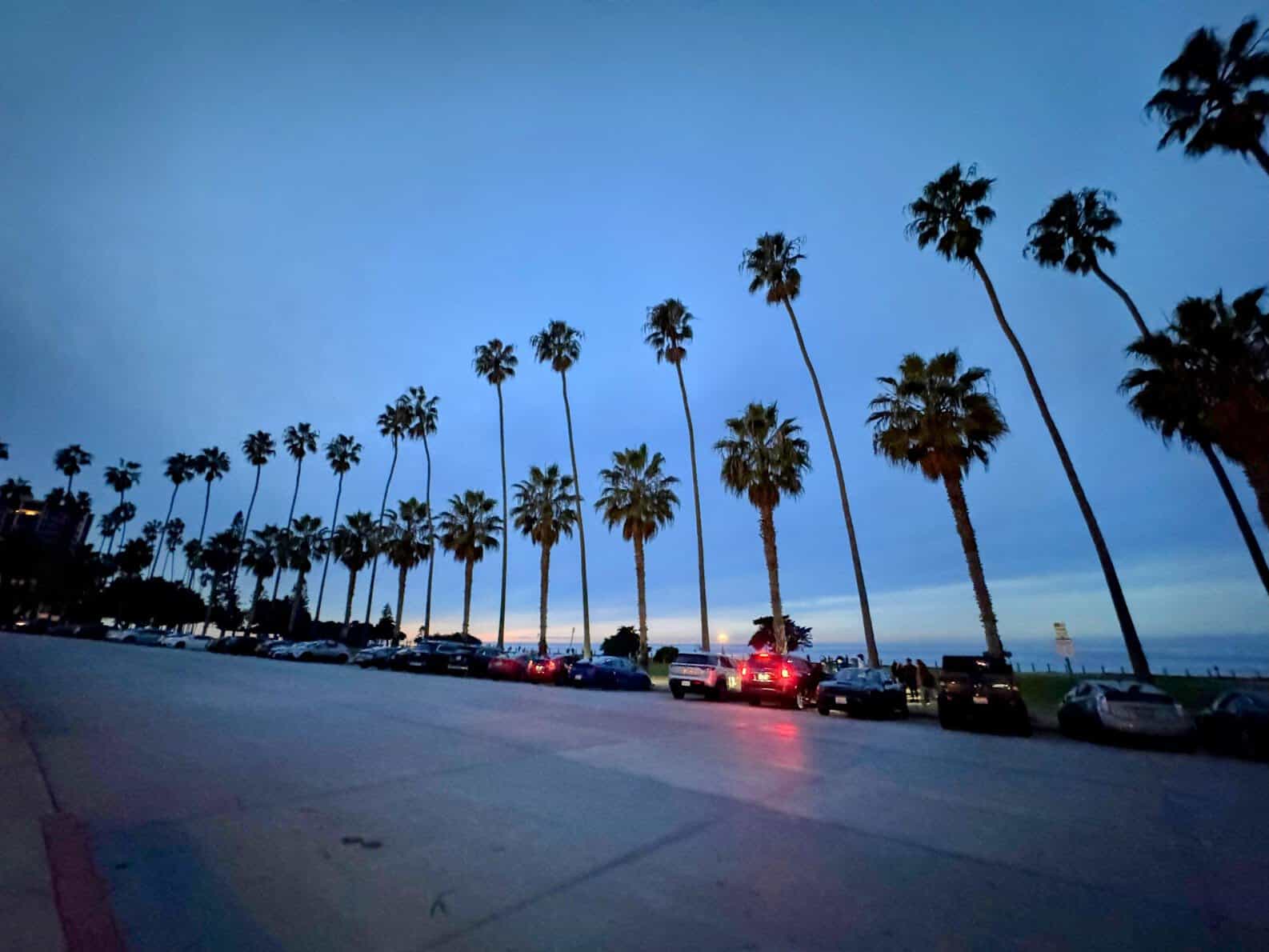A dusk view of a palm tree-lined street in San Diego, with parked cars and the ocean visible in the distance. The evening sky transitions from deep blue to a faint glow near the horizon, creating a serene coastal atmosphere.