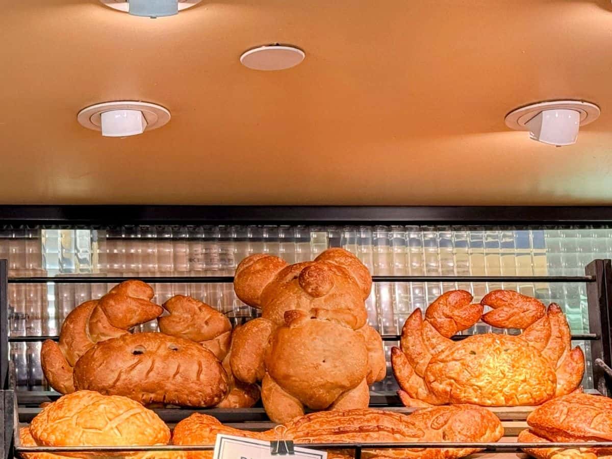 An assortment of uniquely shaped sourdough bread loaves in the form of crabs and bears displayed on a bakery shelf, representing San Francisco's iconic culinary scene in the "San Francisco vs Los Angeles" food comparison.