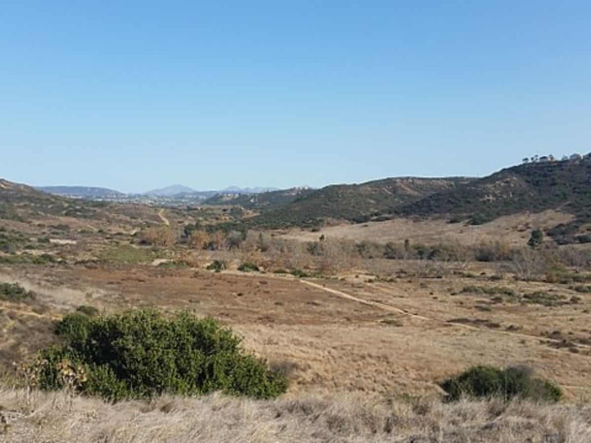 The Los Peñasquitos Canyon Trail highlights wide-open spaces with fields and a dirt path stretching into the distance, a peaceful option for dog-friendly hikes in San Diego.