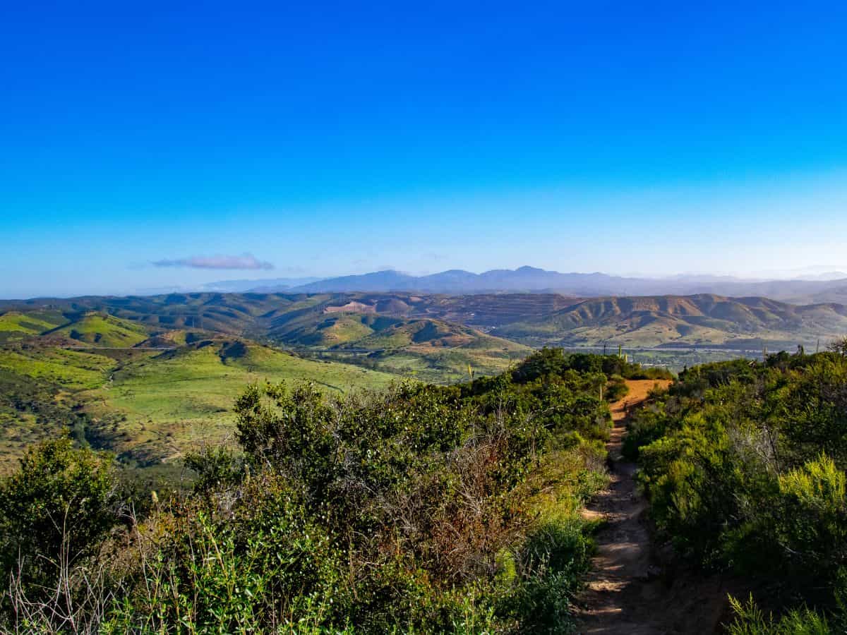 The Kwaay Paay Peak Trail features a winding path through vibrant green hills, offering expansive views of the landscape, perfect for dog-friendly hikes in San Diego.