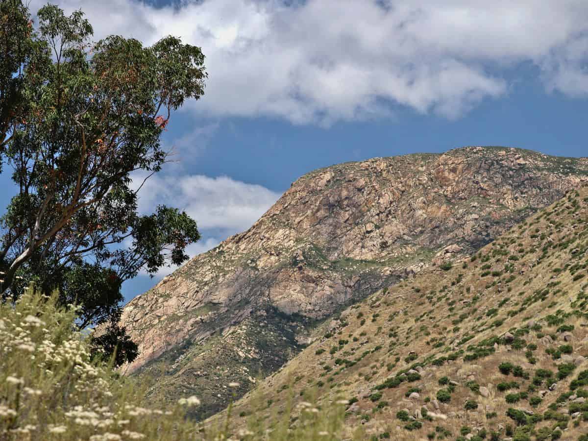 A rugged mountain slope with golden-hued rocks and sparse vegetation under a bright blue sky on El Cajon Mountain Trail.