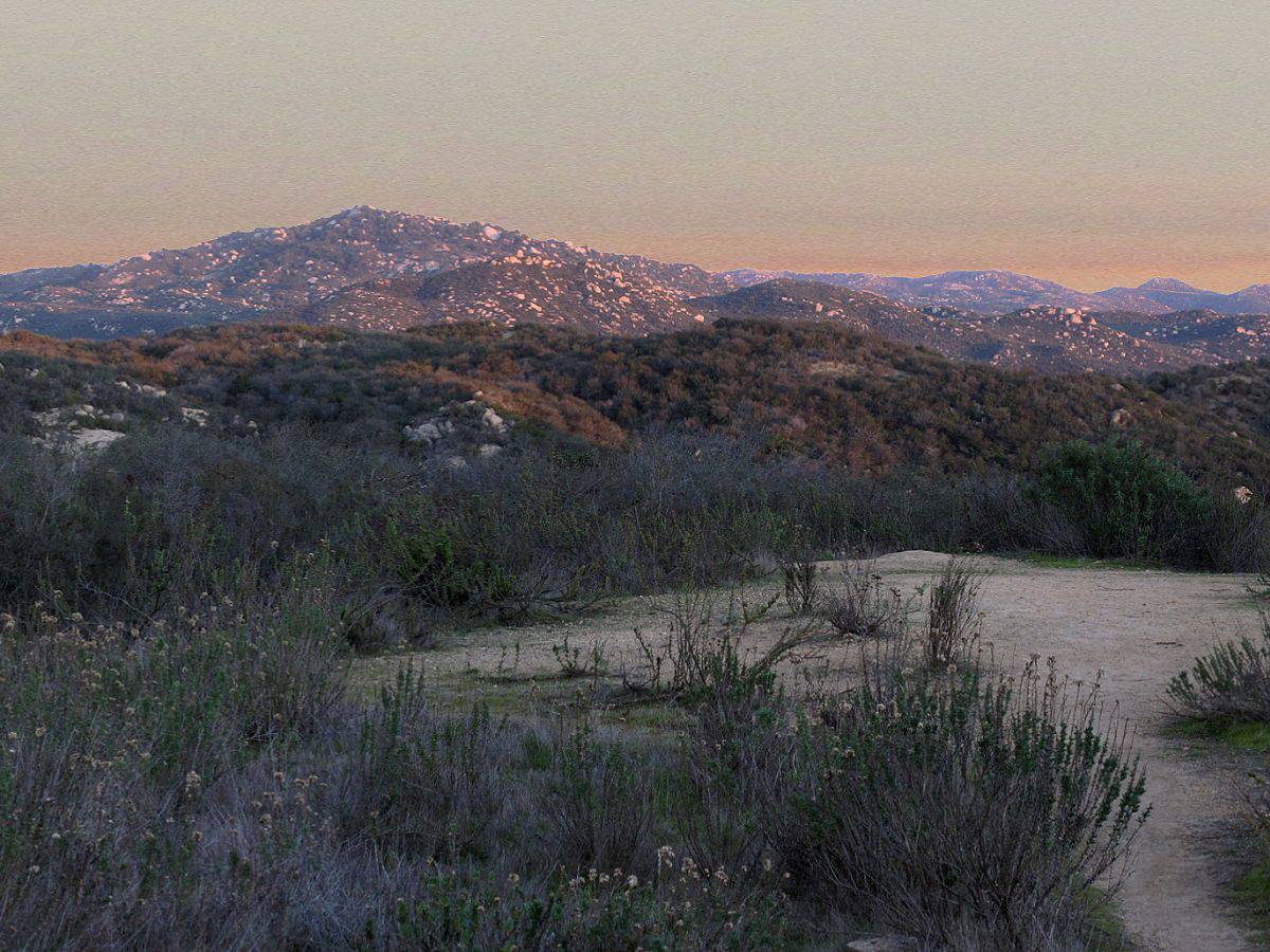 The Daley Ranch Creek Crossing Loop Trail showcases a mix of open meadows and wooded paths, offering a diverse and dog-friendly hiking experience in San Diego.