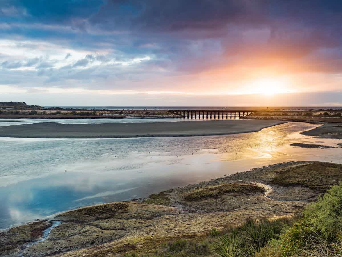 Batiquitos Lagoon Trail features tranquil waters and marshland surrounded by greenery, a relaxing and nature-filled destination for dog-friendly hikes in San Diego.