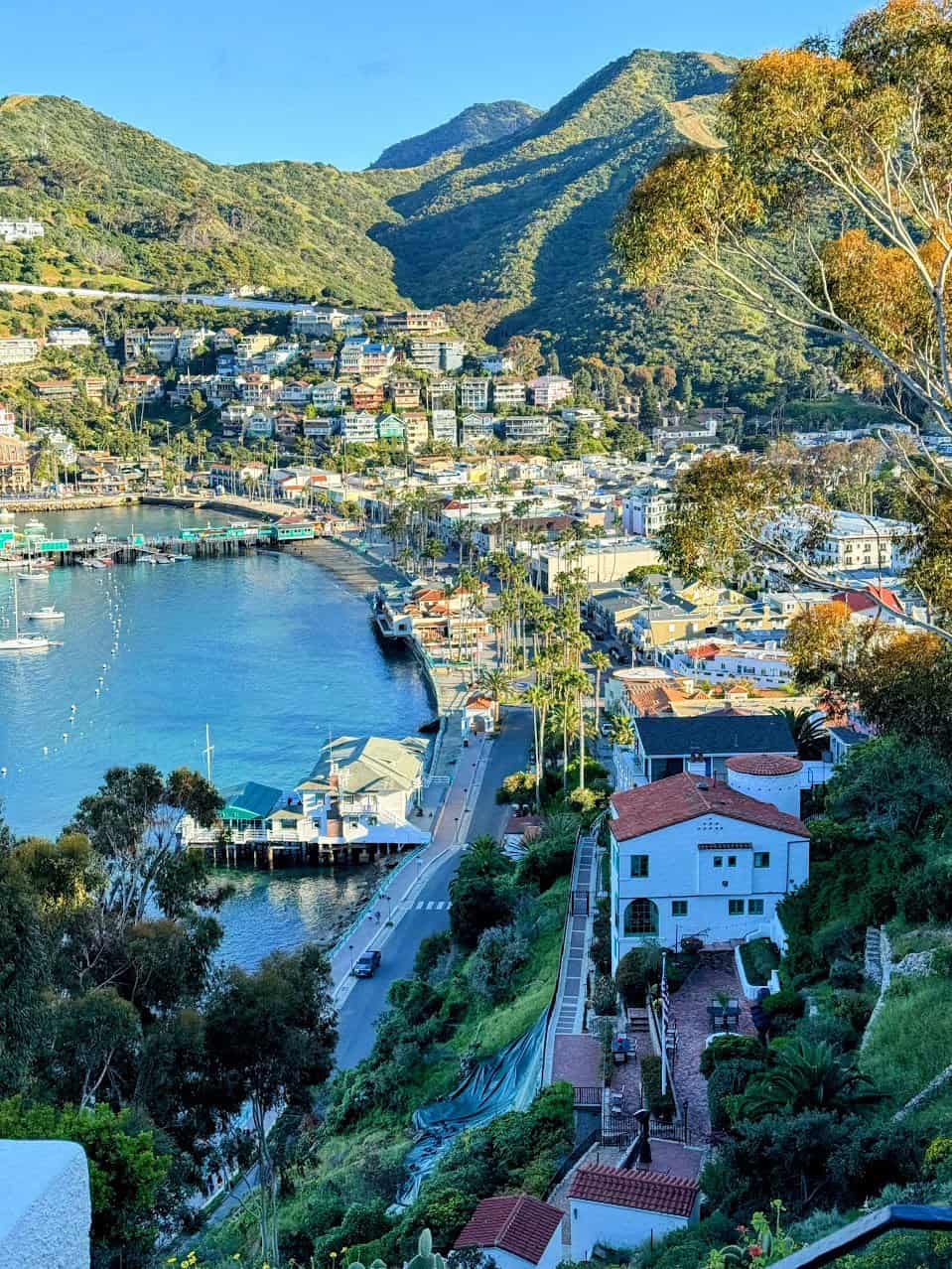 A picturesque view of Avalon on Catalina Island, featuring colorful hillside houses, palm trees, and the sparkling harbor below surrounded by lush green hills.