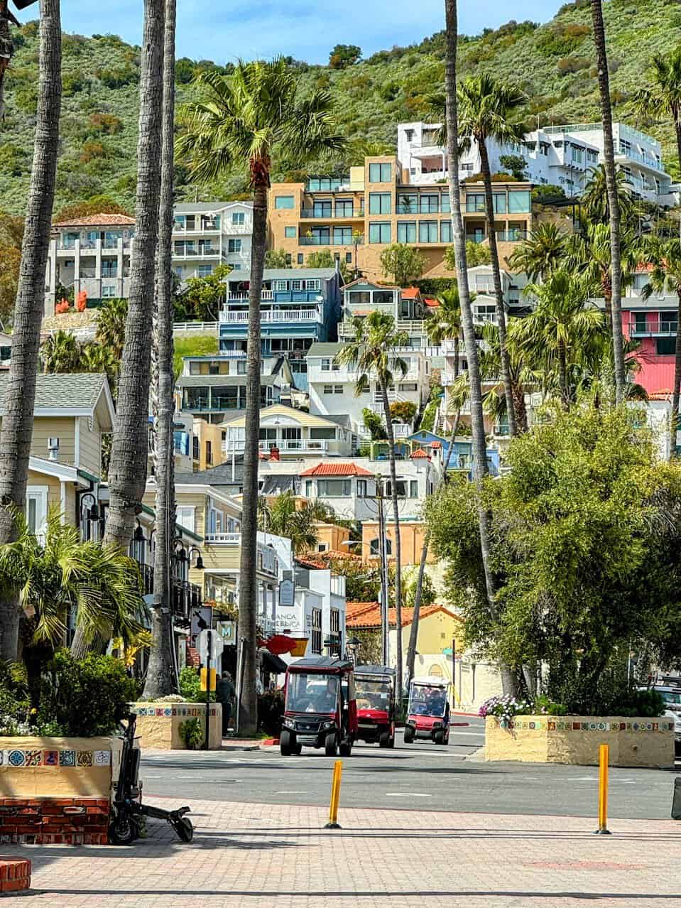 Street in Avalon with palm trees and colorful hillside buildings in the background, showcasing a line of golf carts parked along the road.