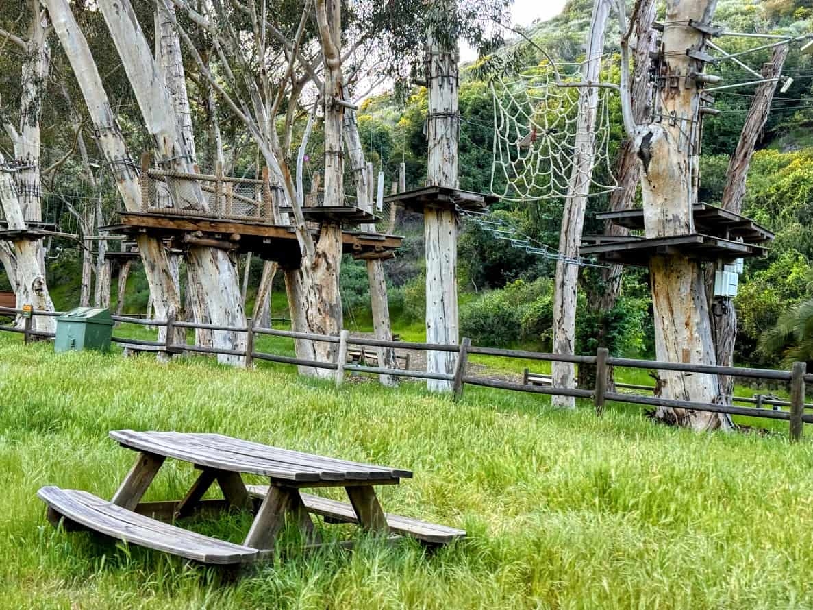 A lush green adventure course set among tall trees, featuring elevated platforms, rope bridges, and wooden pathways for thrill-seekers. A picnic table sits in the foreground.