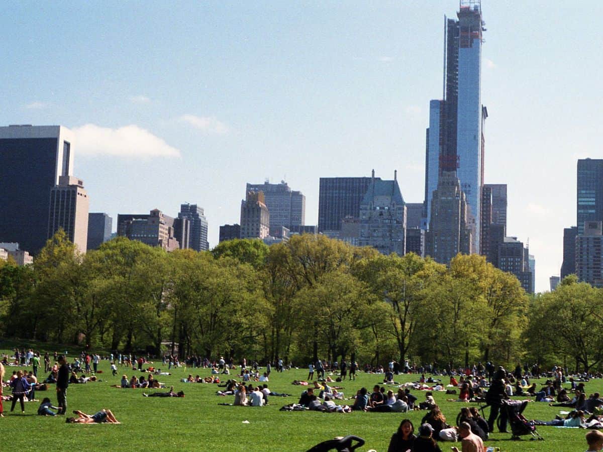 A large, grassy park filled with people lounging and enjoying the sunny day, with a backdrop of high-rise buildings. This image represents the population density and urban spaces in Denver vs San Francisco, highlighting the outdoor lifestyle in both cities.