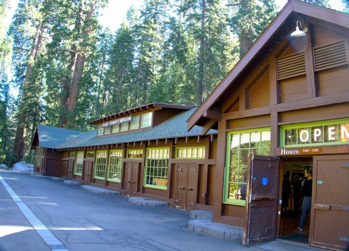 Image of a rustic building with "Giant Forest Museum" signage surrounded by towering trees, indicating an educational facility within a forested area.