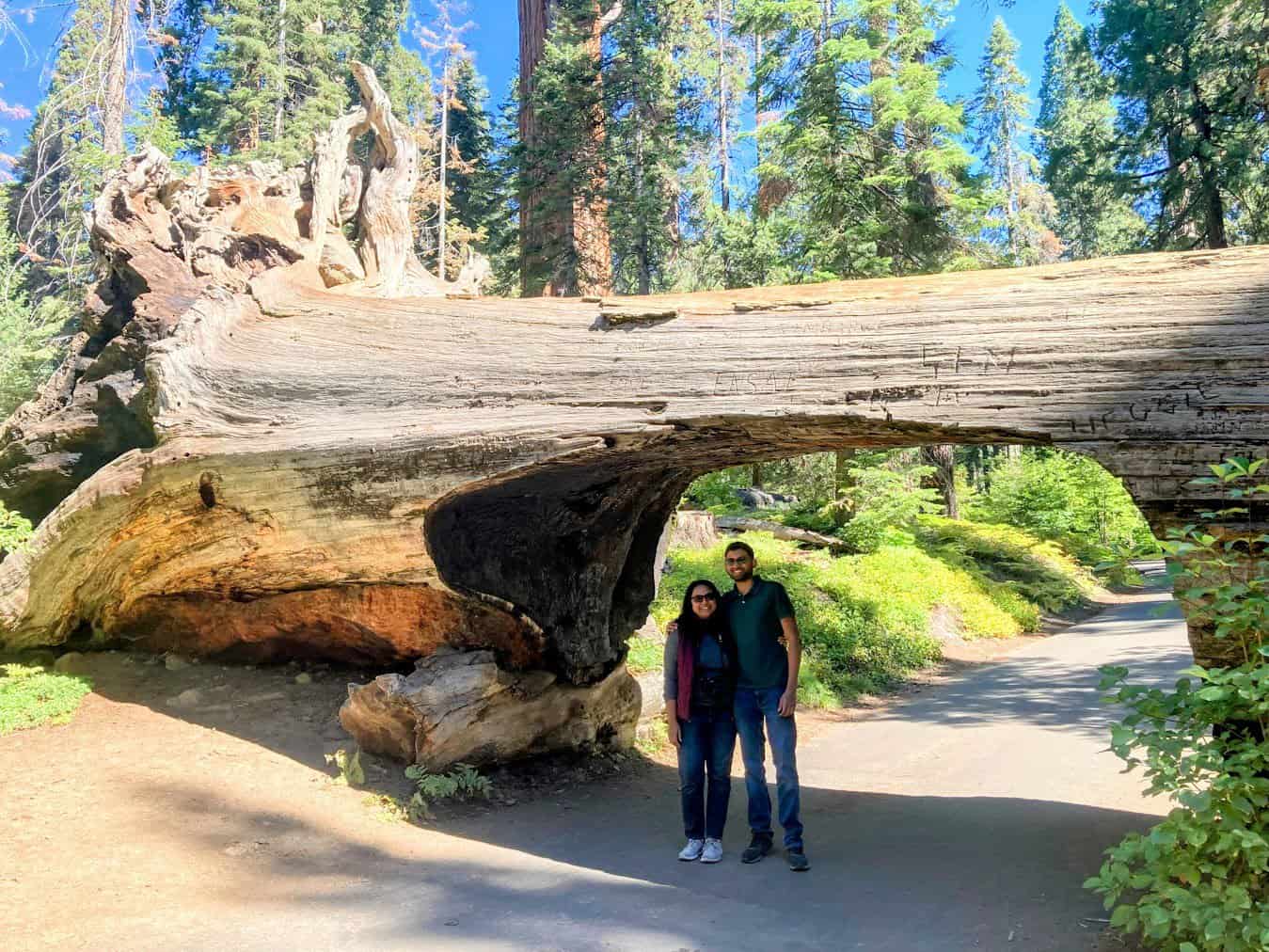 Shreeyeh and Kiran posing for a photograph in front of a large tree with a tunnel through it, with a road passing underneath.