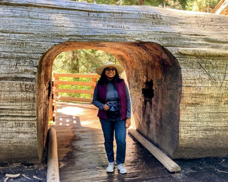 1 Day Sequoia National Park Itinerary