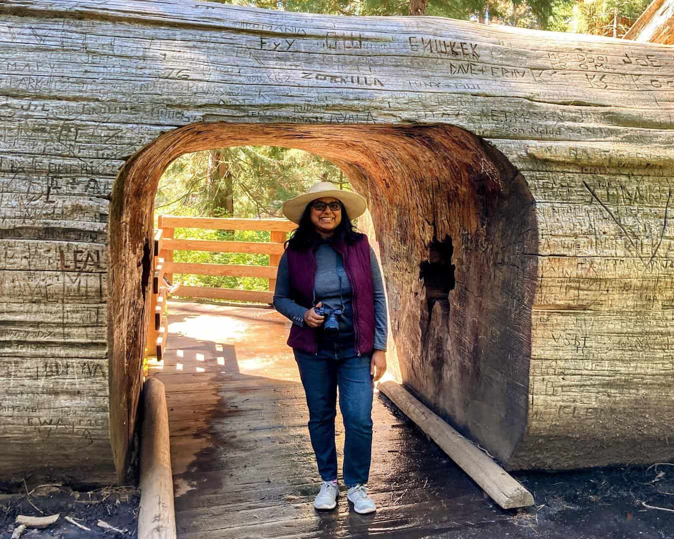 Shreeyeh in a wide-brimmed hat and casual outfit stands smiling in front of a large fallen tree trunk with a carved tunnel in the center, surrounded by a lush forest. The tree trunk features carved graffiti and is part of a scenic wooden walkway.