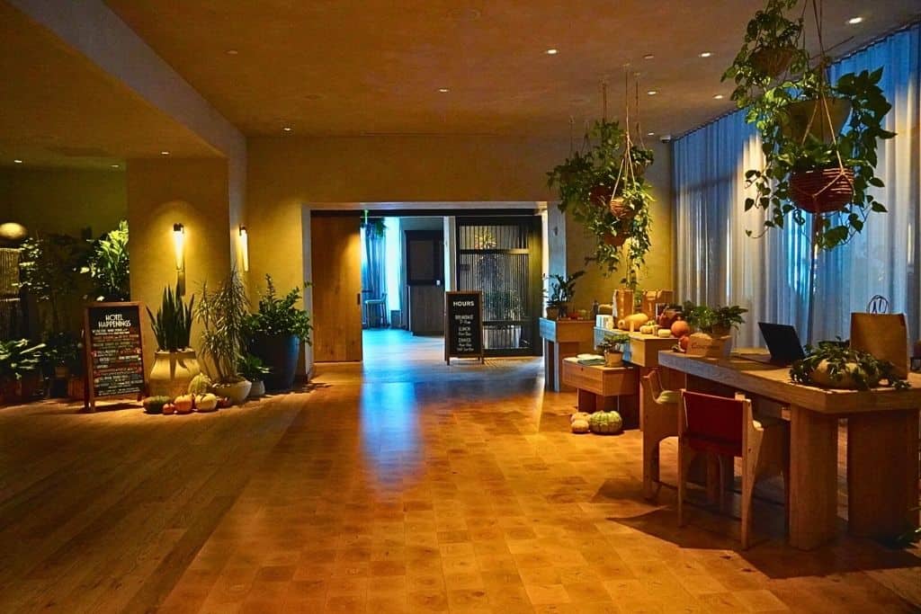 Inside a hotel, there's a calm and quiet space with wooden floors, a bunch of plants, and a table set up with pumpkins and other fall decorations. It looks like a cozy spot where guests might get information.