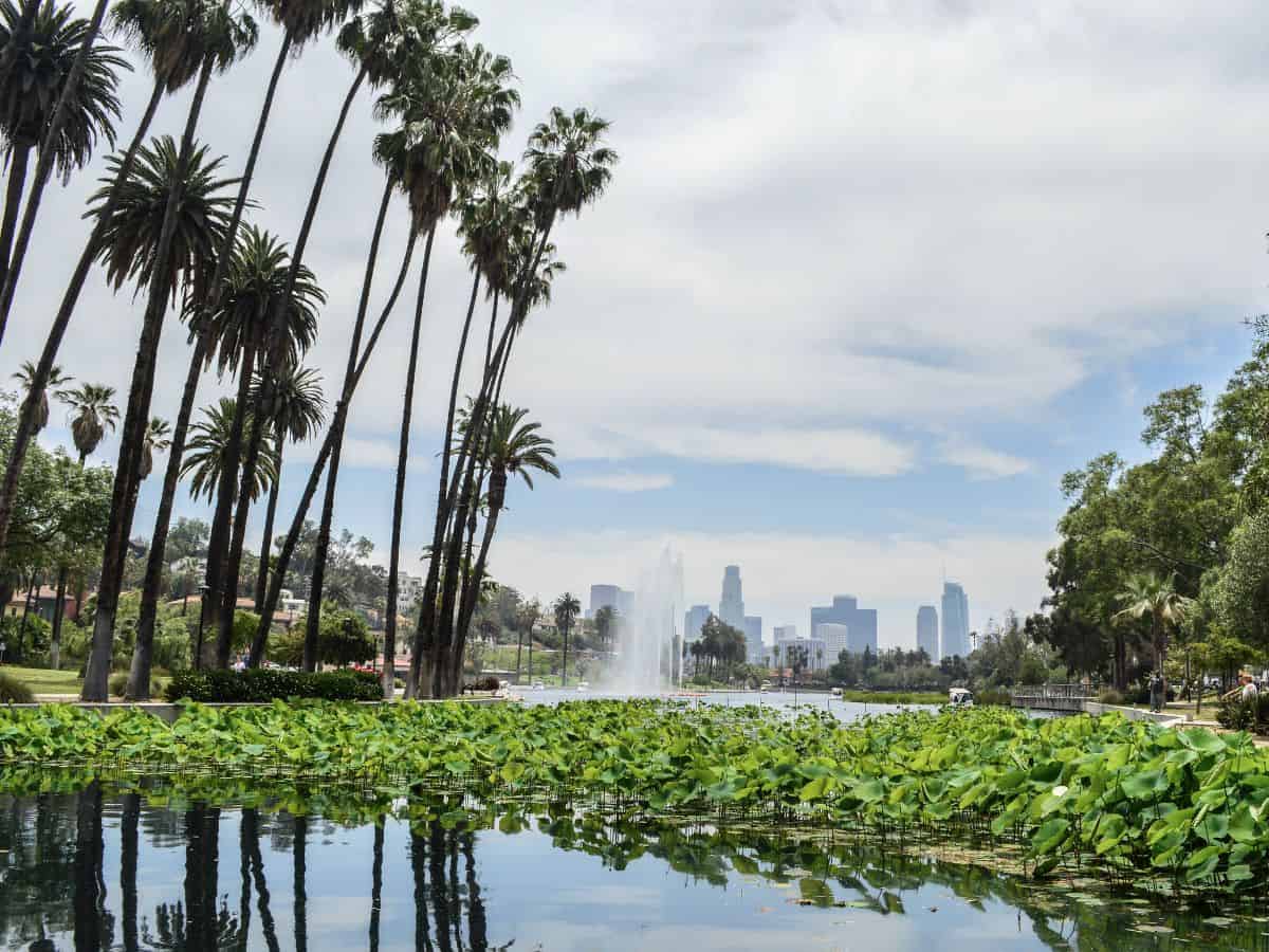 Tranquil view of Echo Park Lake, featuring lush greenery, lily pads on the water's surface, and the Los Angeles skyline reflected in the calm lake under a cloudy sky.