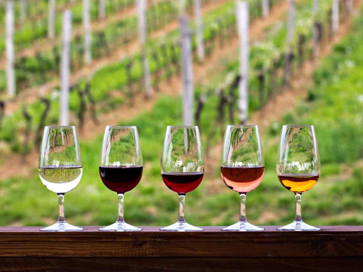 A lineup of five wine glasses with varying shades of wine from white to deep red, set against a backdrop of lush, green vineyards that stretch into the distance.