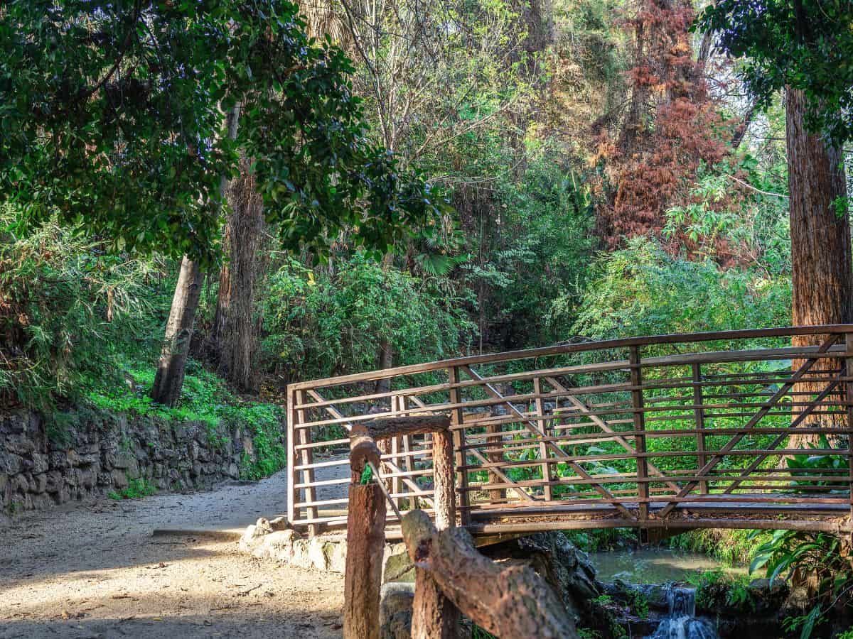 A tranquil walking trail in Griffith Park, Los Angeles, featuring a rustic wooden bridge over a stream, surrounded by lush greenery—a peaceful thing to do in Los Angeles away.