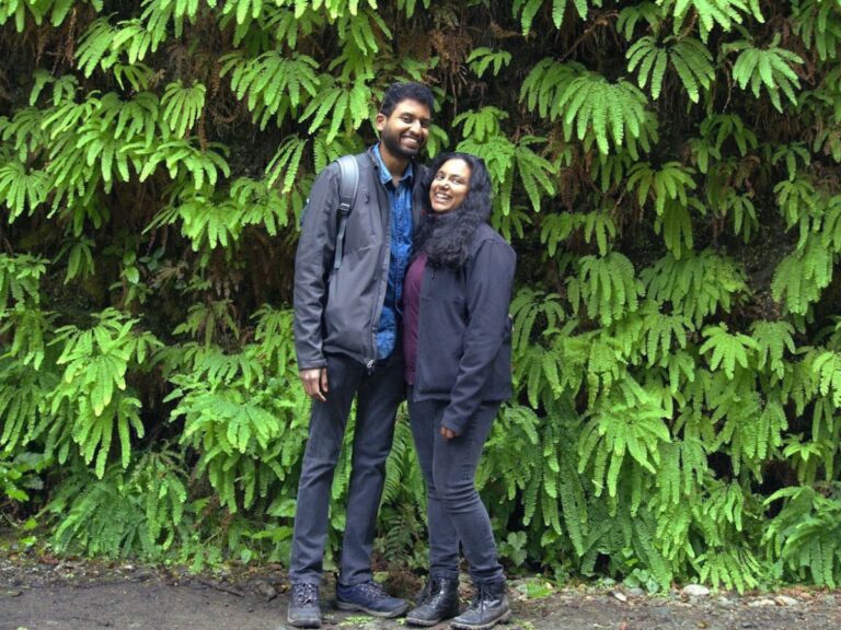 Ultimate 4-Day Redwood National Park Itinerary & Guide