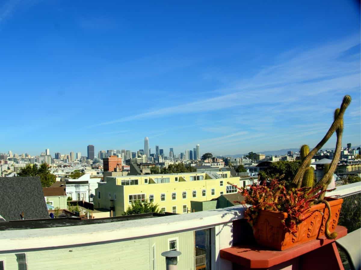 A stunning rooftop view of San Francisco's skyline under a clear blue sky, with the Salesforce Tower prominently visible amidst the city's dense urban landscape. In the foreground, a potted cactus and succulent arrangement sits on a terrace railing, symbolizing the unique charm of the city's housing scene while prompting the question, Why Is San Francisco So Expensive, through the visible scarcity and high demand for housing in this metropolitan area.