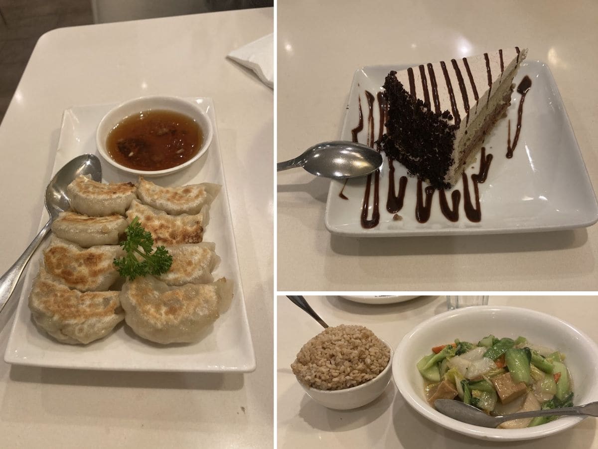A delightful variety of vegan dishes from one of the 10 Vegan Spots in San Jose. The left image showcases a plate of golden pan-fried dumplings served with a tangy dipping sauce and garnished with fresh parsley. The top-right image highlights a decadent slice of vegan chocolate cake drizzled with chocolate syrup. The bottom-right image features a bowl of stir-fried vegetables and tofu in a light sauce, paired with a side of brown rice for a wholesome and flavorful meal.