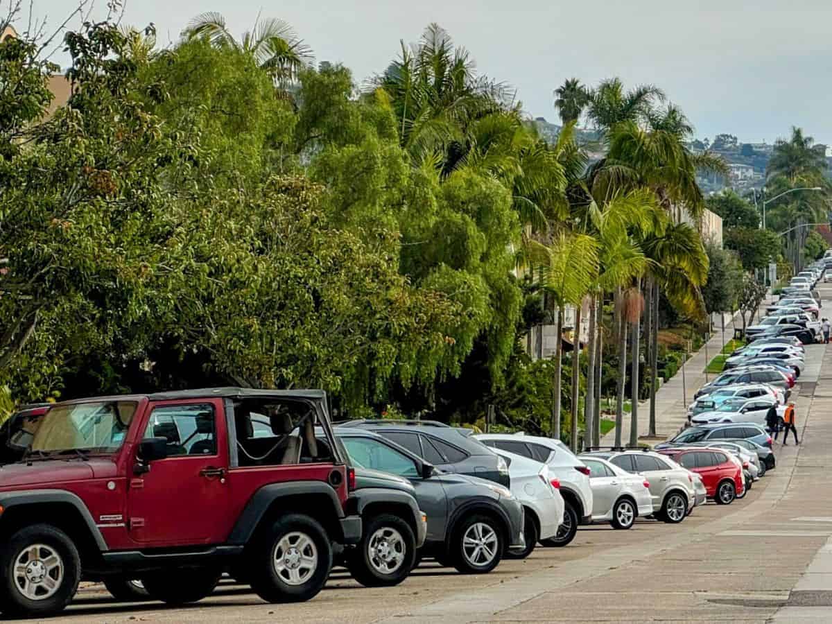 A long street lined with parked cars under the shade of lush green trees and palm trees in a residential neighborhood. The tightly packed vehicles highlight the scarcity of parking spaces in San Francisco, raising the question, Why Is San Francisco So Expensive, as limited parking availability contributes to the overall high cost of living and transportation challenges in the city.