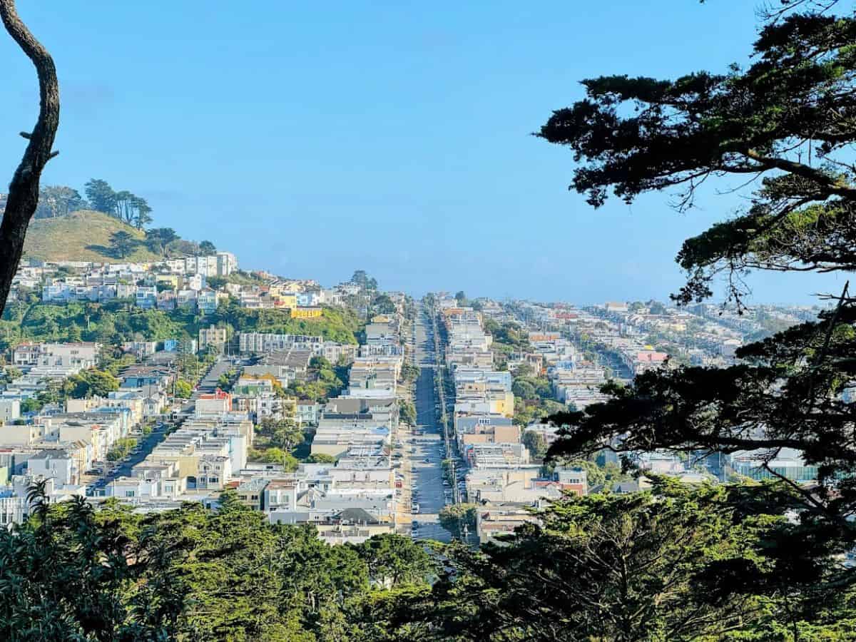  A breathtaking view of a densely packed San Francisco neighborhood with rows of colorful houses stretching along a grid of streets, framed by trees and hills in the background. The limited availability of flat, buildable land amidst the city's natural topography underscores the question, Why Is San Francisco So Expensive, as geographic constraints drive up property values and housing costs.