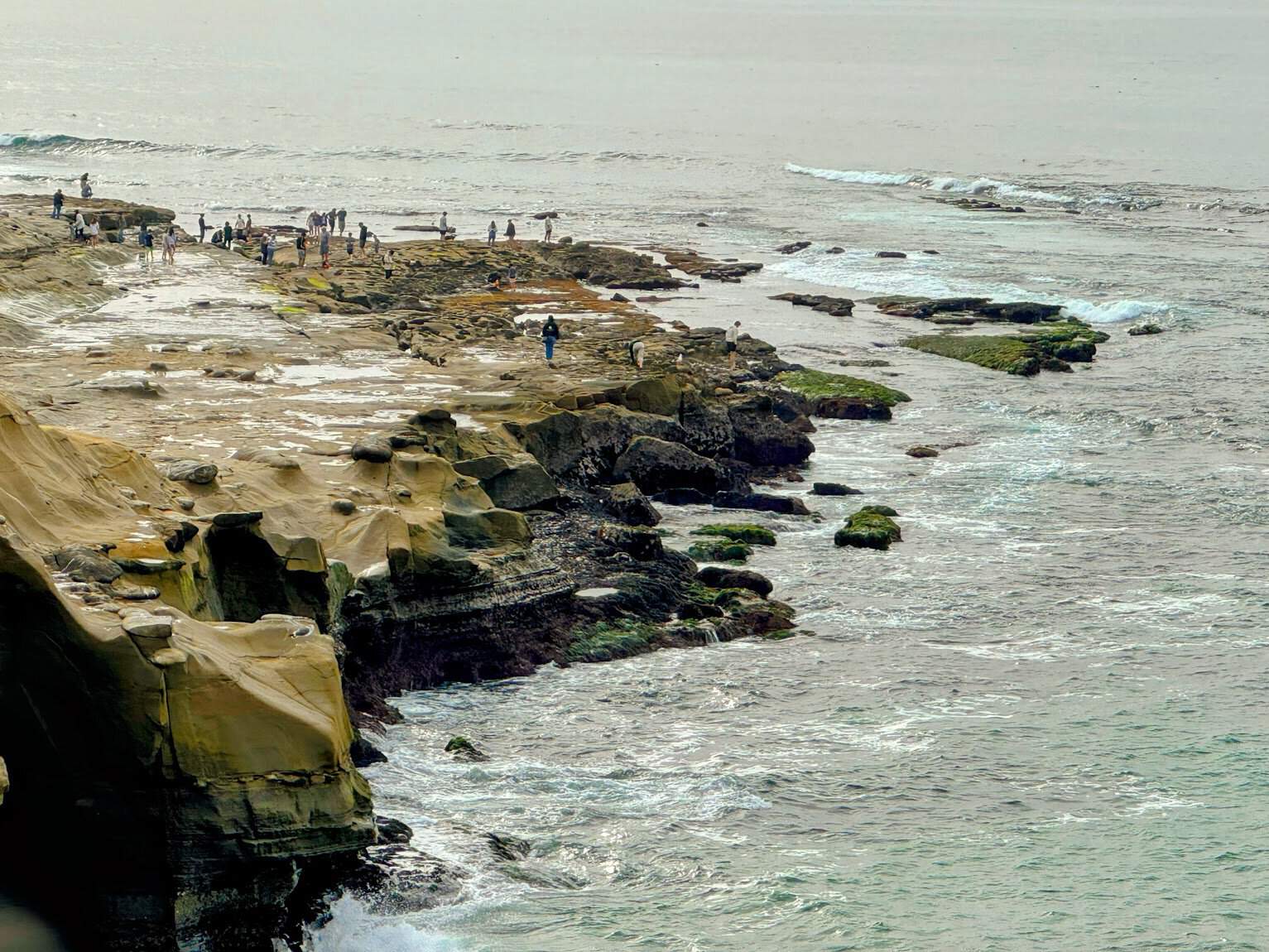 A coastal park with rocky outcrops and tide pools, with people exploring the rugged shoreline while waves crash nearby.