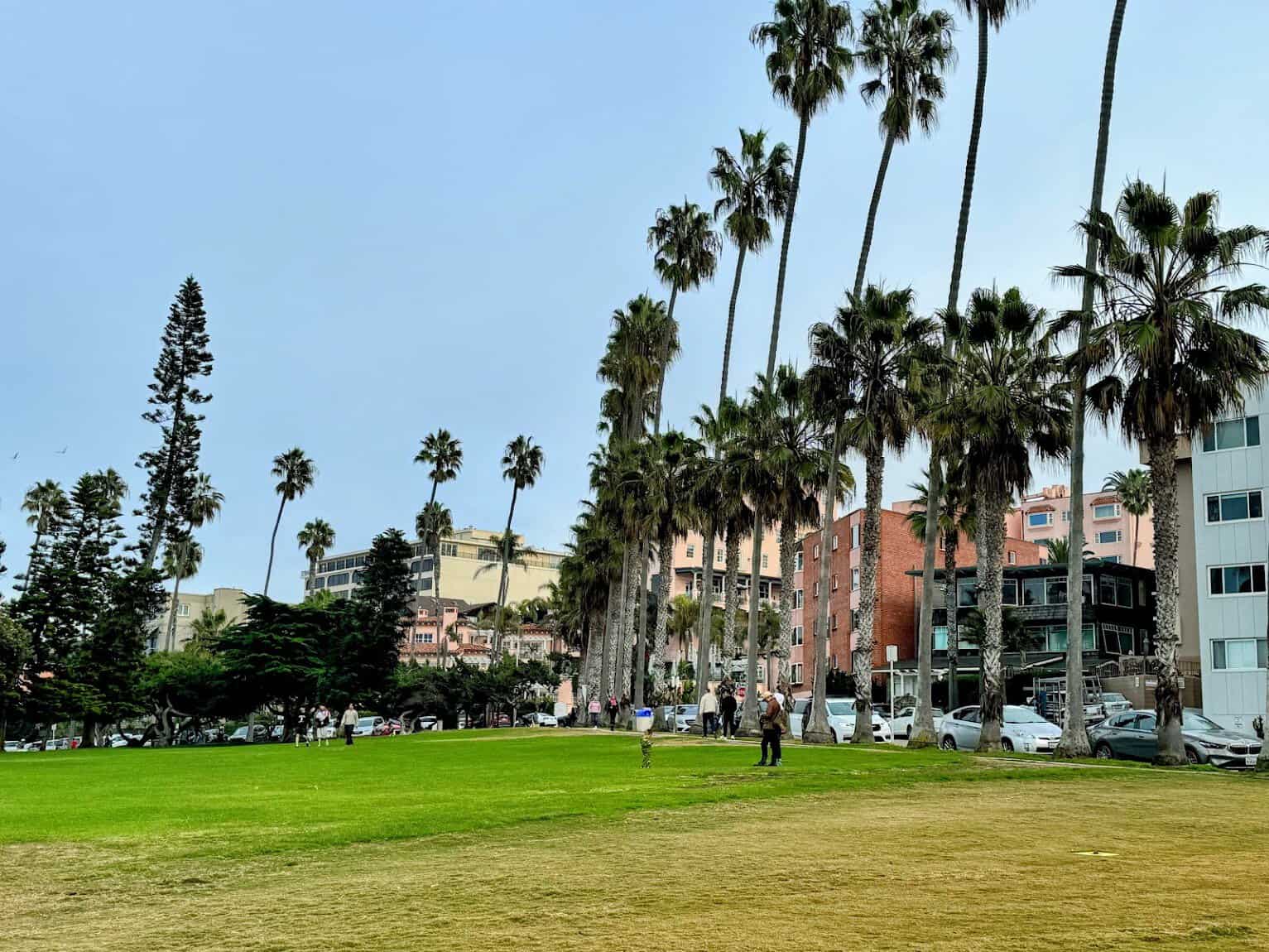 A green park in La Jolla surrounded by tall palm trees and nearby buildings.