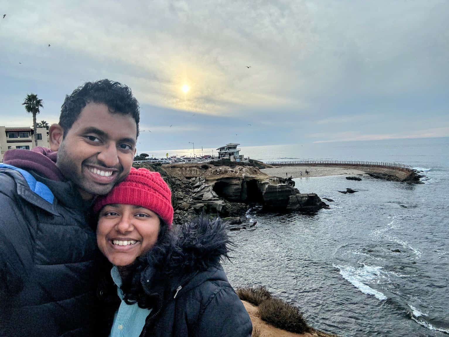 A coastal scene with a sandy beach and rugged cliffs, populated by seals and birds.