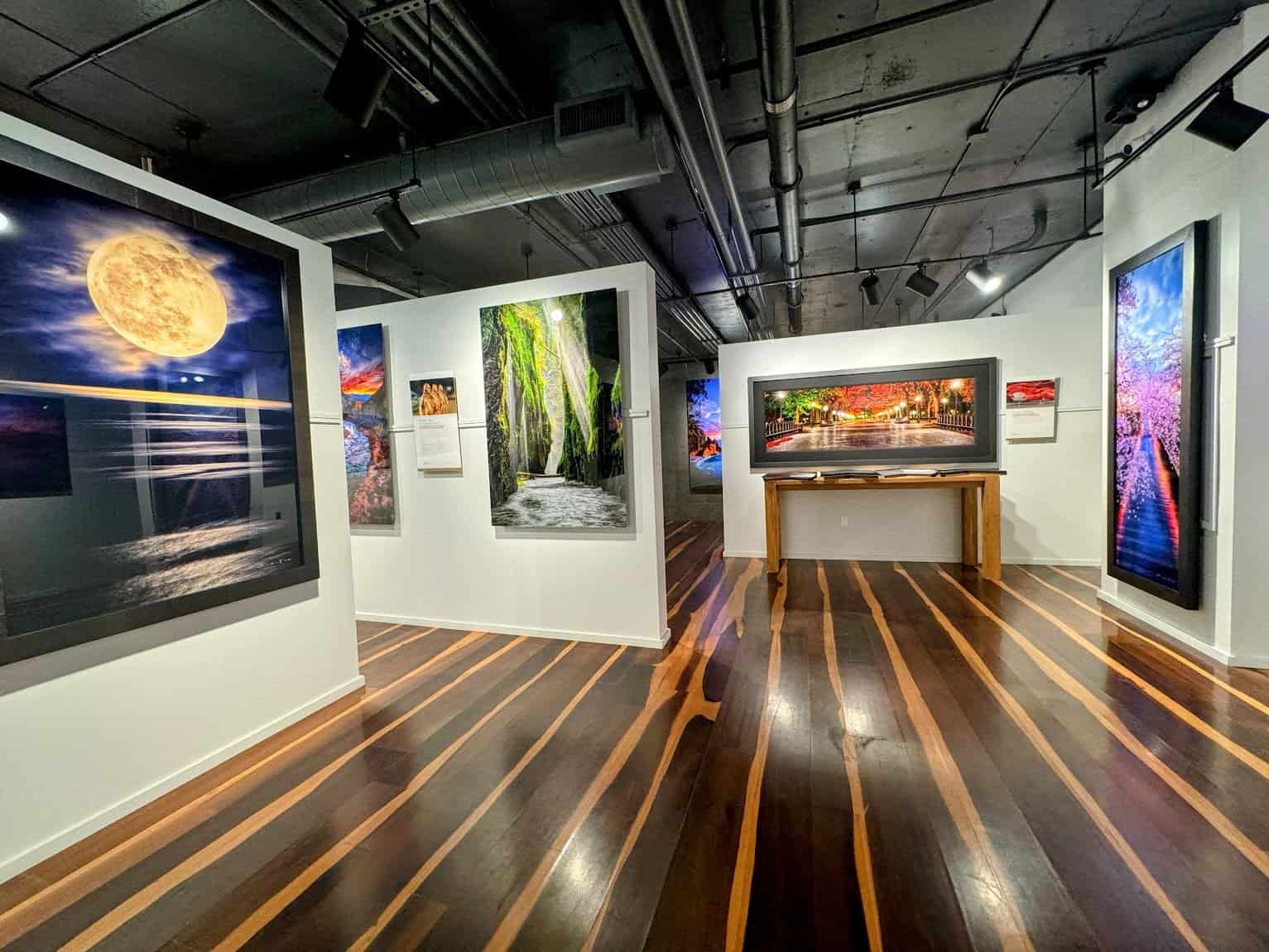 An indoor art gallery with polished wooden floors, vibrant photographs of nature and landscapes displayed on the walls, and soft overhead lighting creating a serene atmosphere.