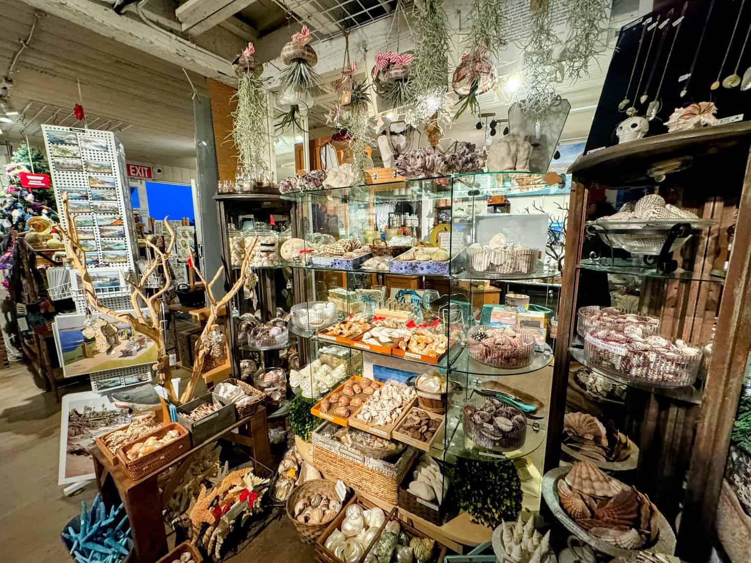 A vibrant souvenir shop filled with seashells, coral, and decorative items displayed on shelves and tables, evoking a coastal and maritime theme.