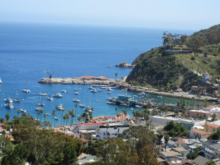 The Cheapest Way to Reach Catalina Island This Spring