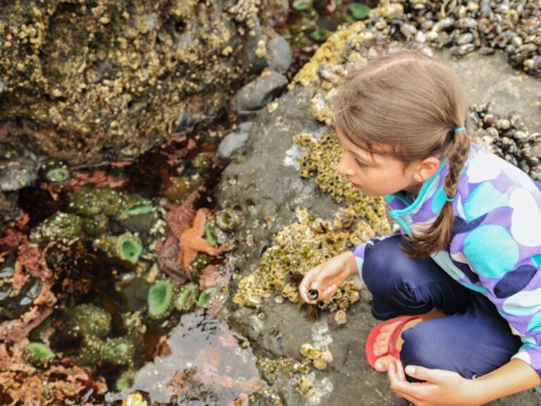 This California city makes family days feel ridiculously easy