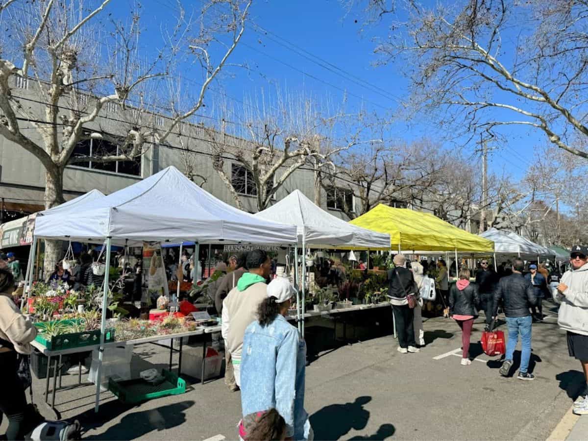 Tents line a bustling outdoor farmers' market filled with people browsing local produce and plants, featured as a local favorite in 32 Things To Do In Sacramento.
