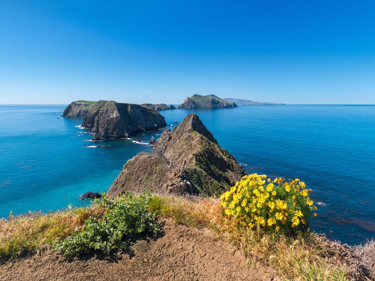 The rugged cliffs and deep blue waters of Channel Islands National Park resemble the wild beauty of Scotland’s Isle of Skye.