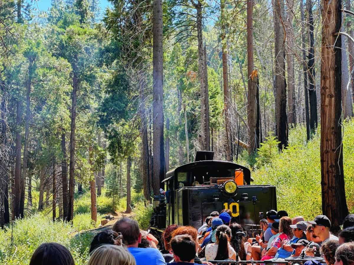 A vintage steam train chugs through towering redwoods, packed with excited passengers. Taking this scenic ride through Roaring Camp is one of the most memorable 21 Things to Do in Santa Cruz.