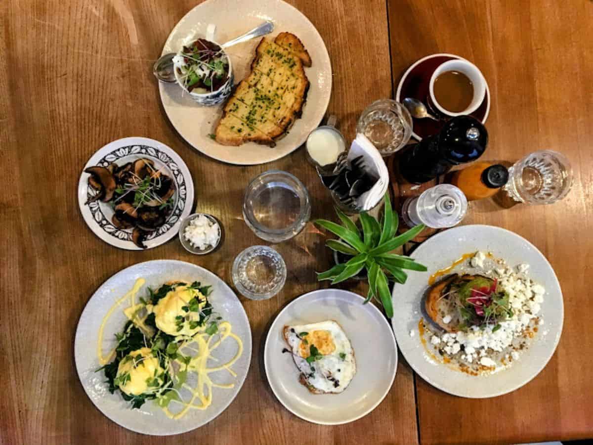 A top-down shot of a delicious brunch at Greasy Spoon, featuring eggs benedict, mushrooms, toast, salad, a sunny-side-up egg, and coffee, with glasses and condiments scattered across the table.