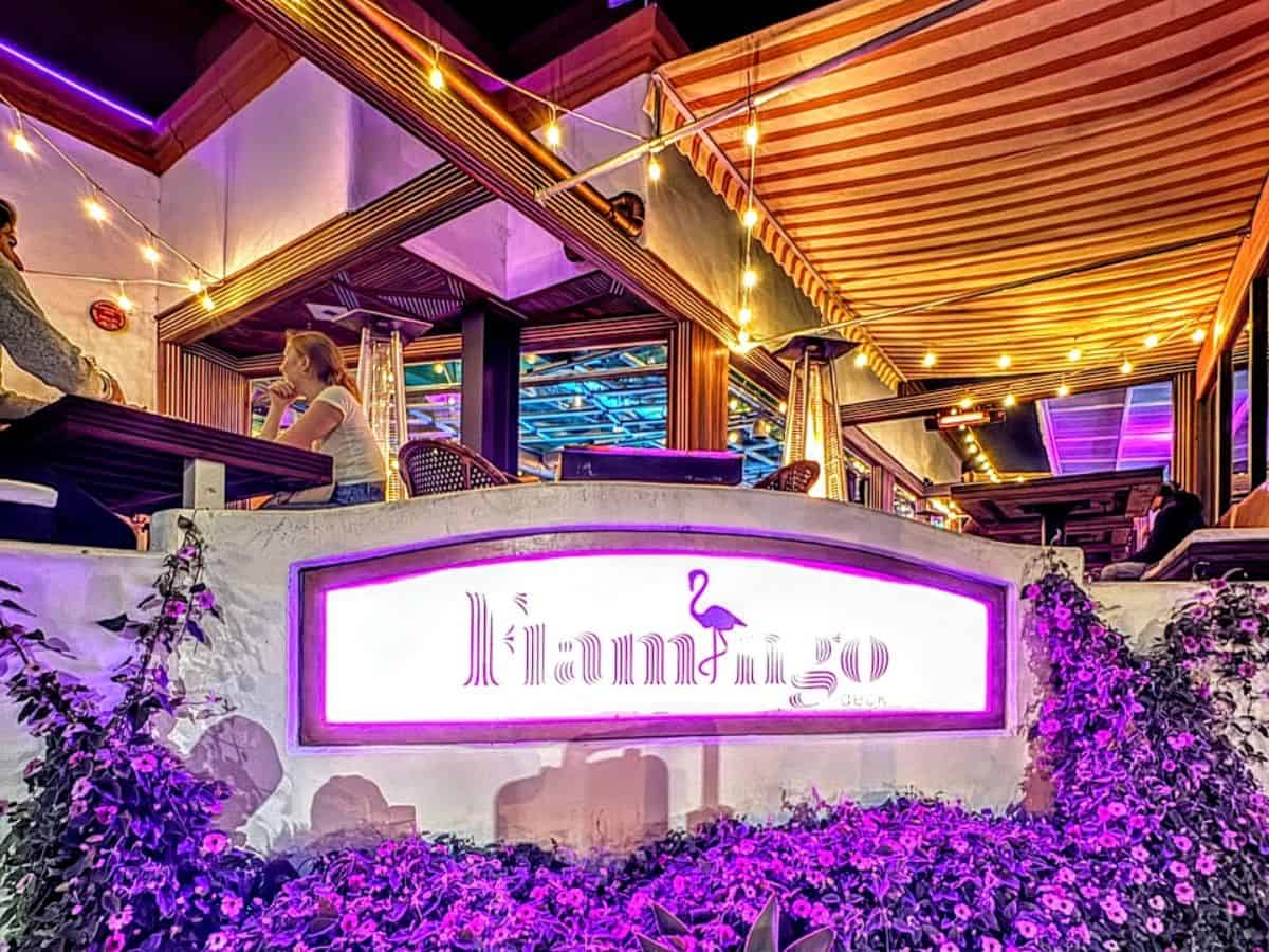 The Flamingo Deck' bar is illuminated by a neon pink sign in the shape of a flamingo, surrounded by dense, flowering plants. This image captures the bar's trendy and Instagram-worthy exterior, a standout spot among the best bars in Pacific Beach San Diego
